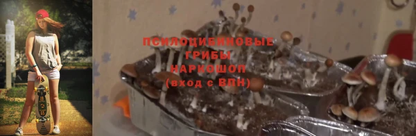 ешки Баксан