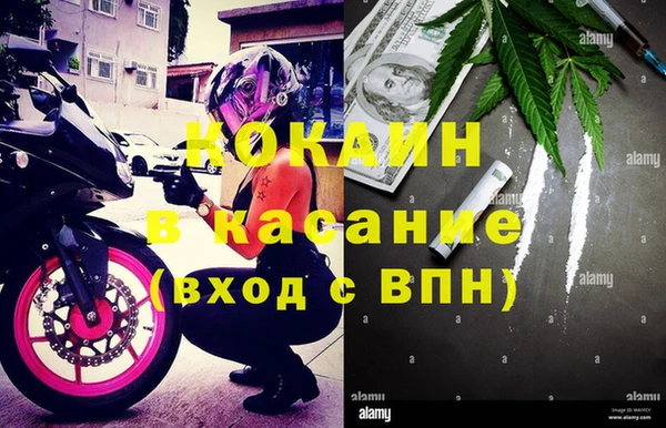 шишки Балахна