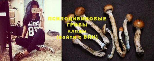 ешки Баксан