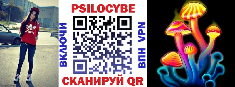 Галлюциногенные грибы Cubensis  Белозерск 