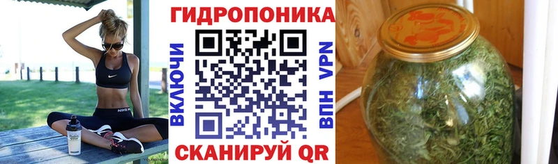 Канабис LSD WEED  сайты даркнета как зайти  Белозерск 